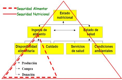 Esquema conceptual de la Seguridad
Alimentaria Nutricional a nivel de Hogares